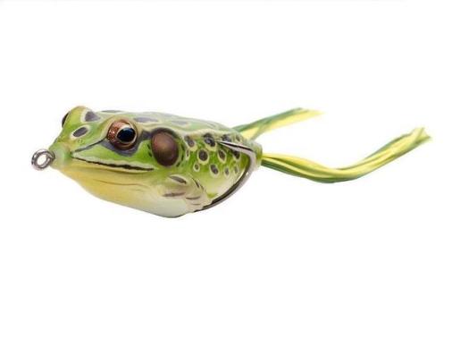 Live Target hollow frog.jpg